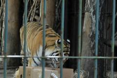 10548045_744787128905207_1768257799181884425_o_744787128905207