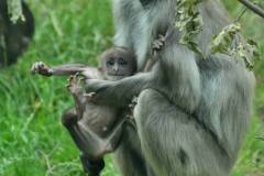 10551487_744785725572014_8055005394251555514_o_744785725572014