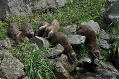 10553775_744785418905378_2203375309025756010_o_744785418905378