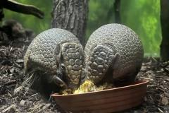 450706925_516013757750841_3496198394366268678_n