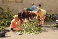 451806853_1389121598451108_180435357801201273_n